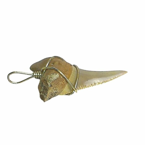 Fossilized Shark Tooth Pendant Wrapped In Silver Wire Unique Vintage Jewelry - Picture 5 of 5